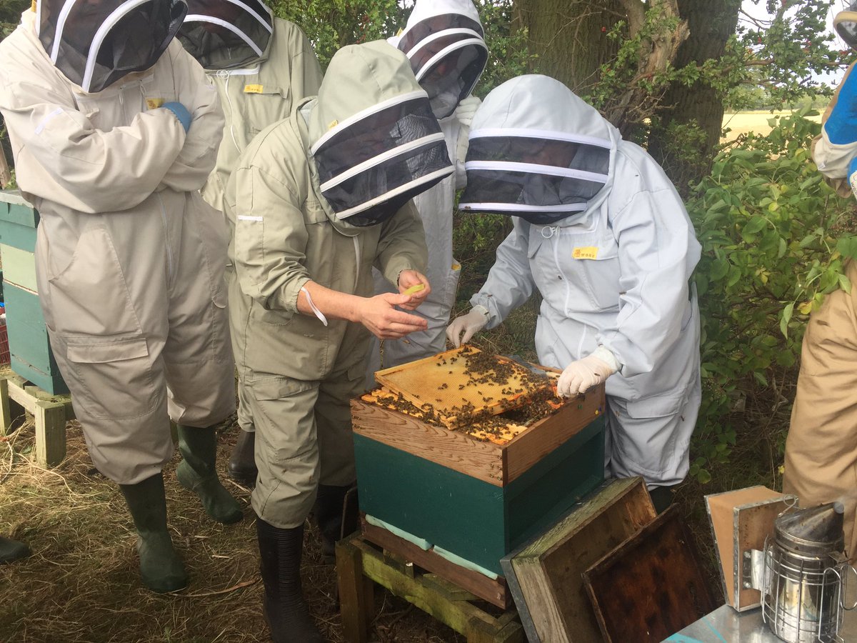 York Beekeepers tweet media
