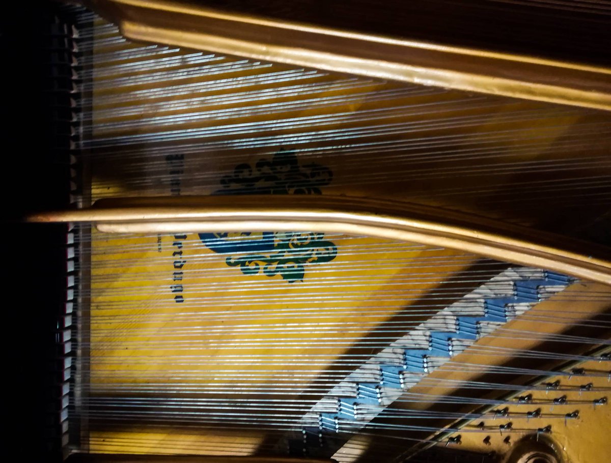 panicofilms's tweet photo. Metidos en un #piano de cola. Rodaje de @sofaruio 
#pfilmsec #LaFloryElOjo #concert https://t.co/YI5nyZcI9h