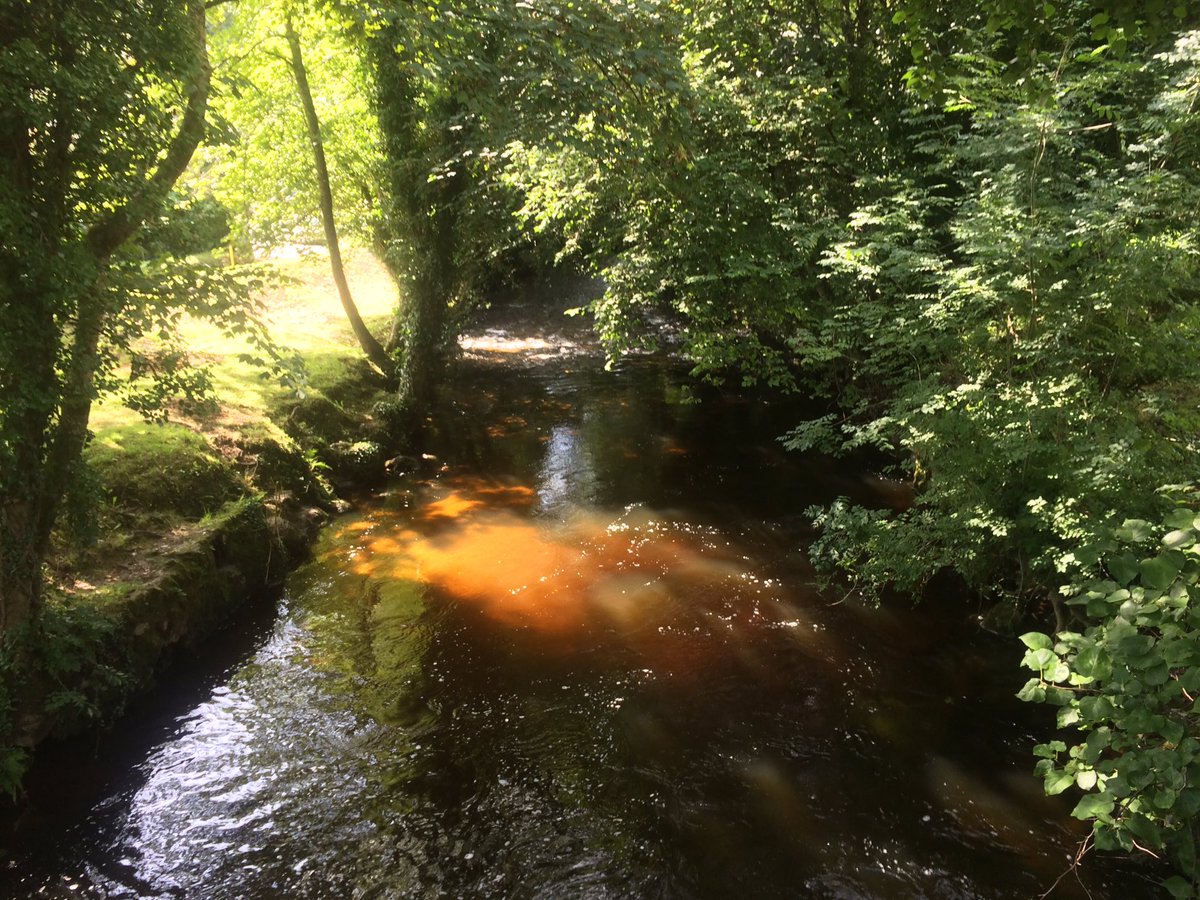 roscopackman's tweet photo. #TwoMoorsWay Day One.

#Wembury ➡️ #Yealmpton ➡️ #Ivybridge 
- 16.5 miles (26.5km).

#Dartmoor tomorrow!

#Devon #Devonhour https://t.co/mujlDKBrP1