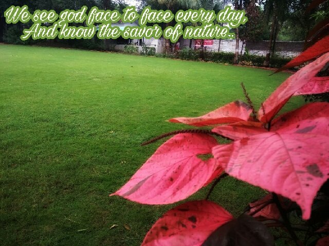 Jimmiarora1's tweet photo. #WorldPhotographyDay #MMFPL https://t.co/gddeWcjrrp