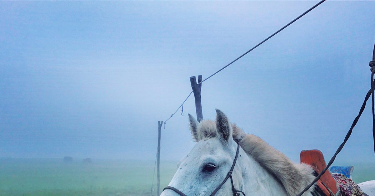 ШАРГА АЗАРГАНЫ Тод манлай уяач Э.Эрдэнэ чулуун 100н эрхэм...go dive through the deep sea of the ART