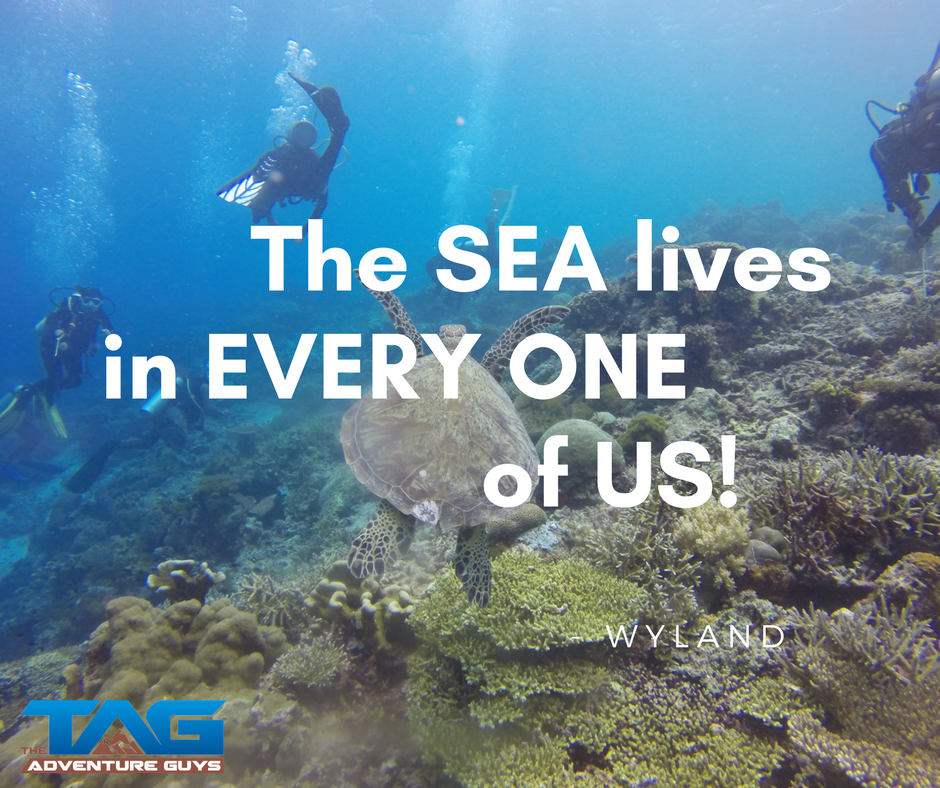 adventure_guys's tweet photo. The sea lives in every one of us - Wyland https://t.co/1JUjruFetJ