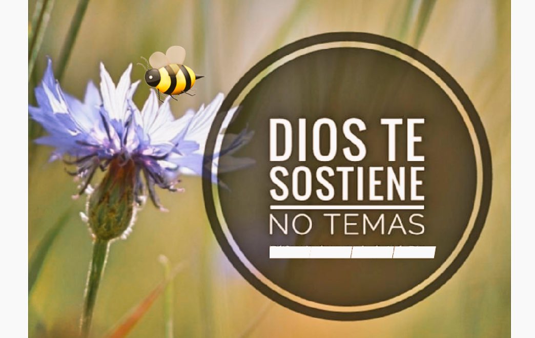 LucyCosme's tweet photo. •No es tiempo de temer, es hora de creer!  #Dios no te deja! #TiempodeRosas https://t.co/8yheRB0uoP