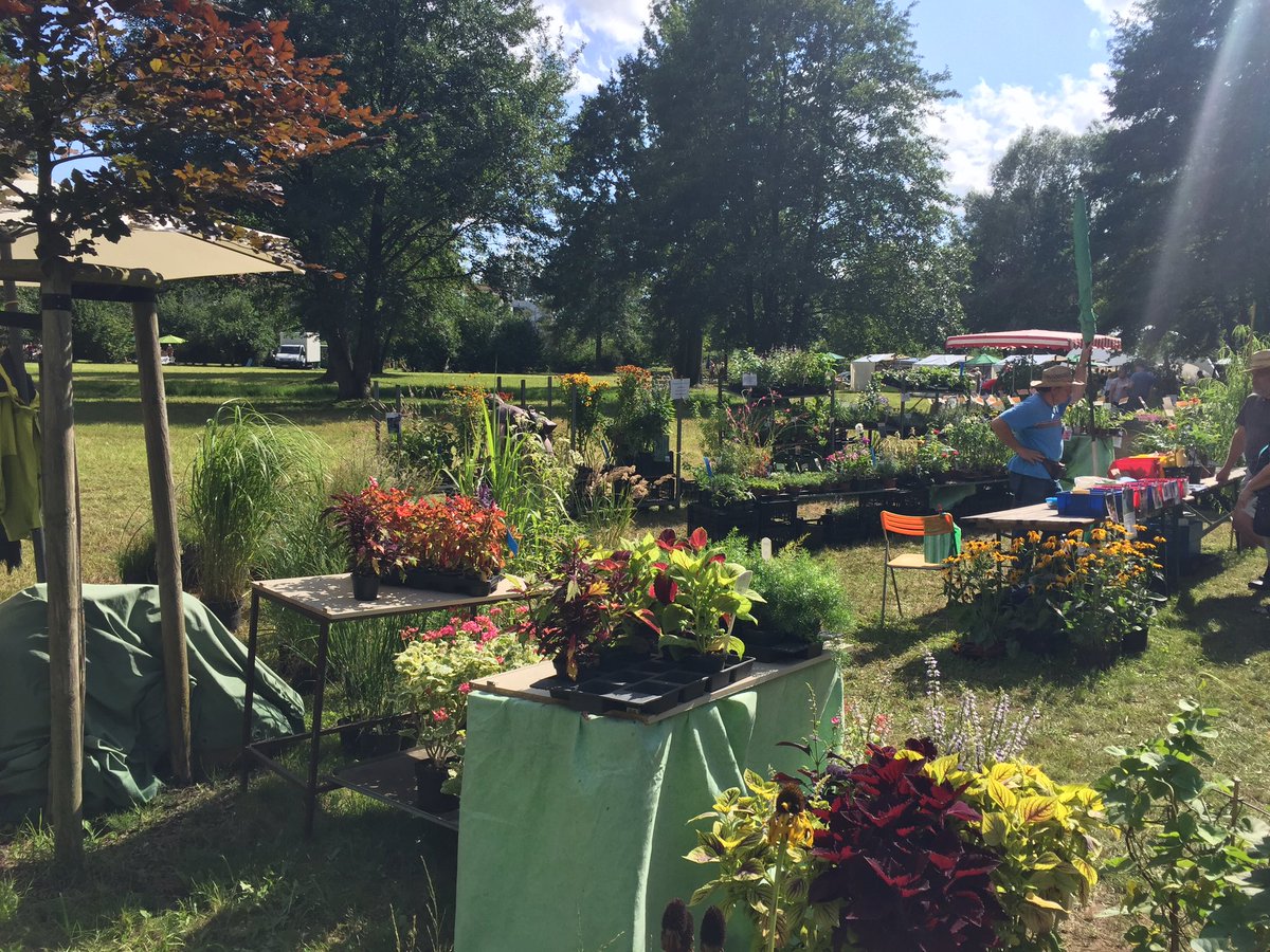 Ronald Dempfel ♥️🇺🇦🕊 tweet media