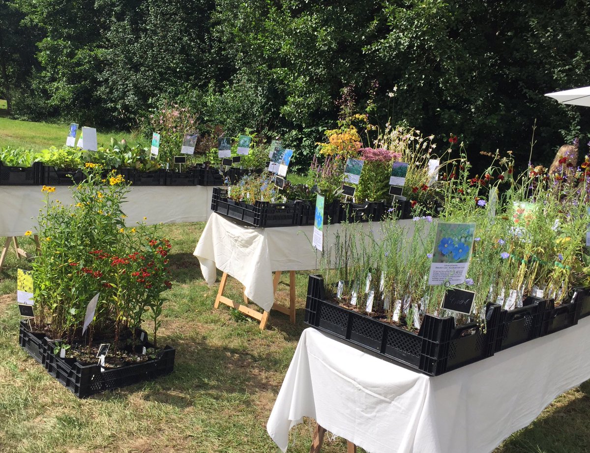 Ronald Dempfel ♥️🇺🇦🕊 tweet media