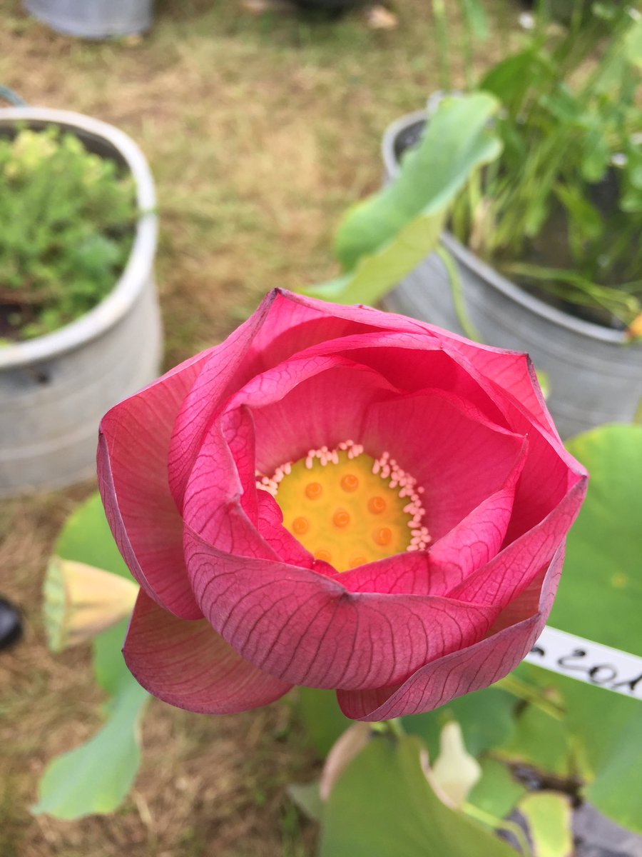 Ronald Dempfel ♥️🇺🇦🕊 tweet media