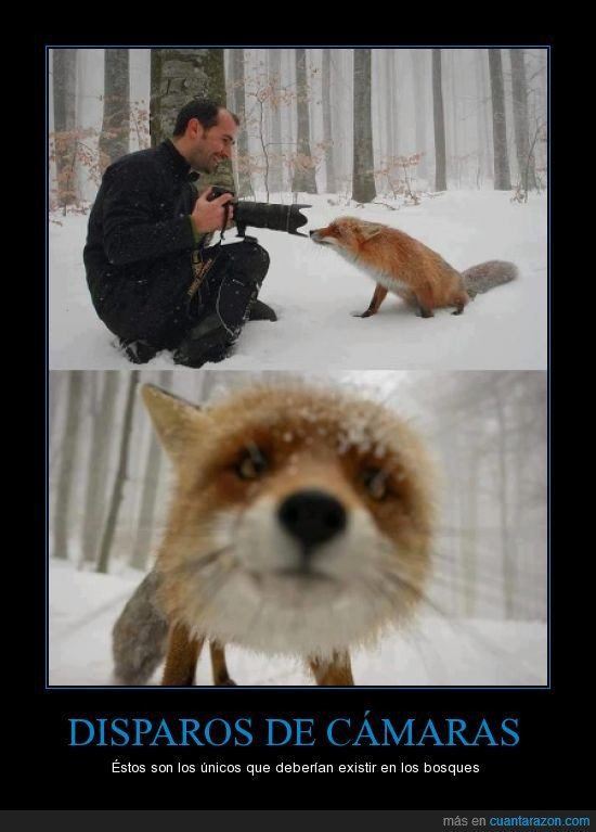 #diamundialdelafotografia
La única forma ética de disparar a un animal

<a href="/PAEstatal/">PODEMOS Derechos Animales</a> <a href="/ToAnimalistas/">PodemosAnimalistasTo</a> <a href="/podaniaran/">Animalistas Aranjuez</a> <a href="/PodemosAnimAst/">PodemosAnimalistaAst</a> <a href="/animalista_c/">Animalista Cantabria</a>