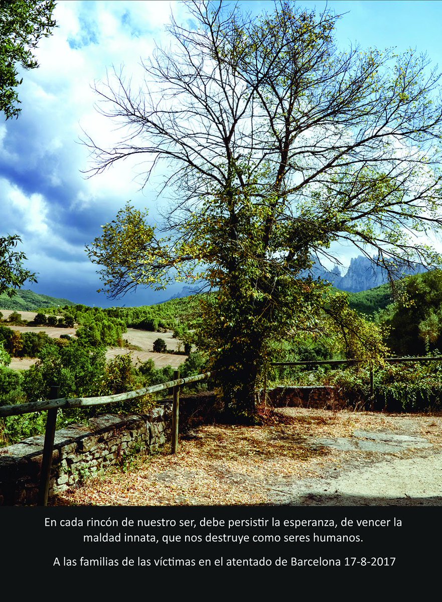 linwer's tweet image. #BarcelonaContigo #Ramblas #AtentadoBarcelona #BastaDeAtentados #PeaceAndLove #Catalogne #SpaininMYheart #PrayForBCN