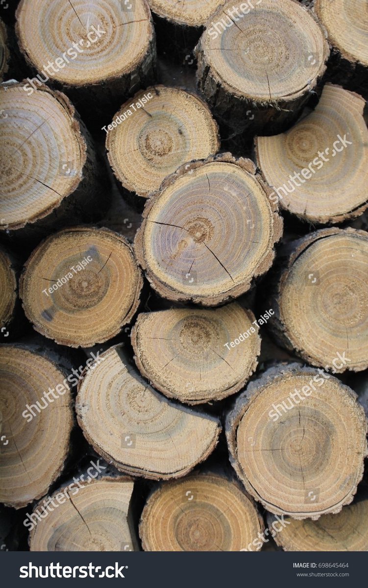 VectorDesignT's tweet image. shutterstock.com/image-photo/wo… #WorldPhotoDay #photo #photography #PhotographyDay #wood #firewood #background #wallpaper #tegture #wall