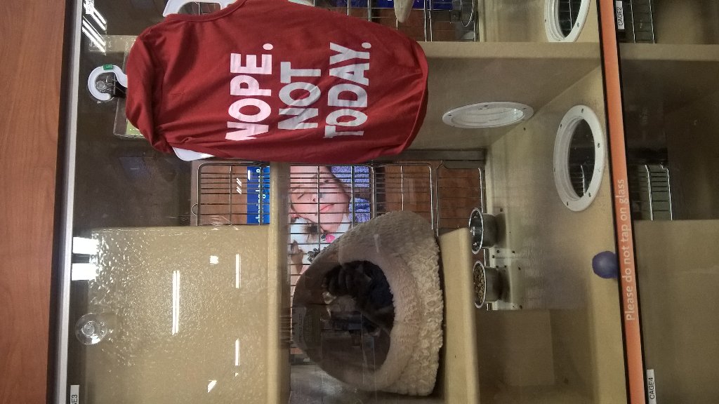 PetSmart #2392 tweet media
