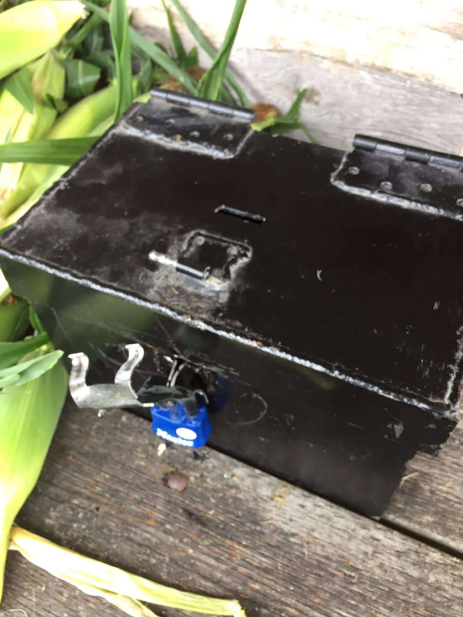 morrisonfarms's tweet photo. Thanks to whomever broke into our sweet corn cash box last night. Hope you enjoyed the $20-$30 https://t.co/b1Pf3j1us0
