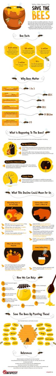 Today is #WorldHoneyBeeDay! As you know bees are in danger of becoming extinct &amp; Any Pest created an amazing infographic #SaveTheBees