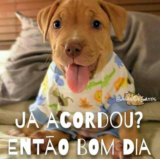 WSarges's tweet image. 