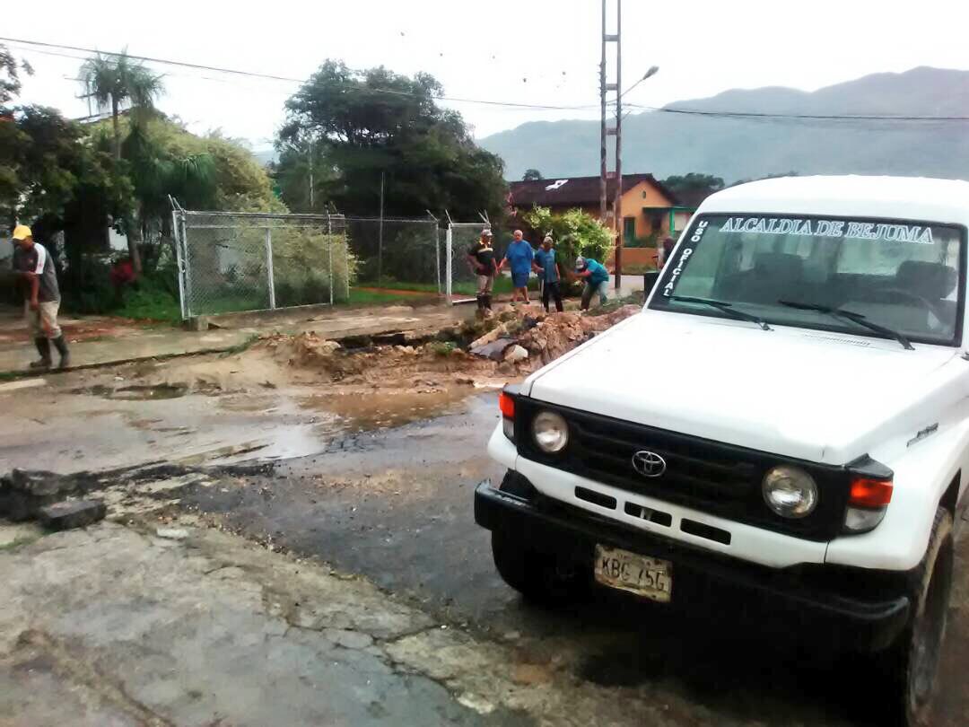 PAPITO Rodríguez tweet media