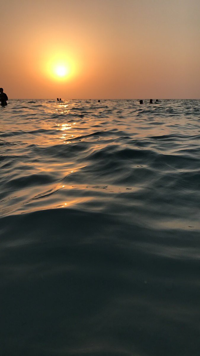 shahdvvx's tweet image. love