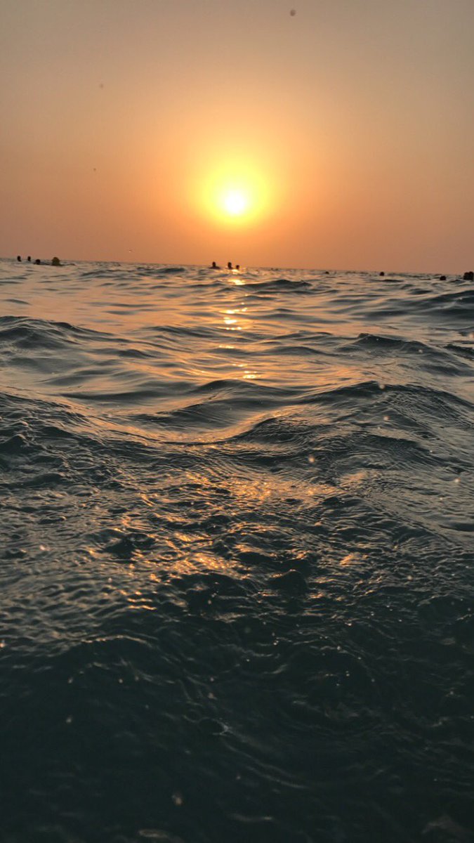 shahdvvx's tweet image. love