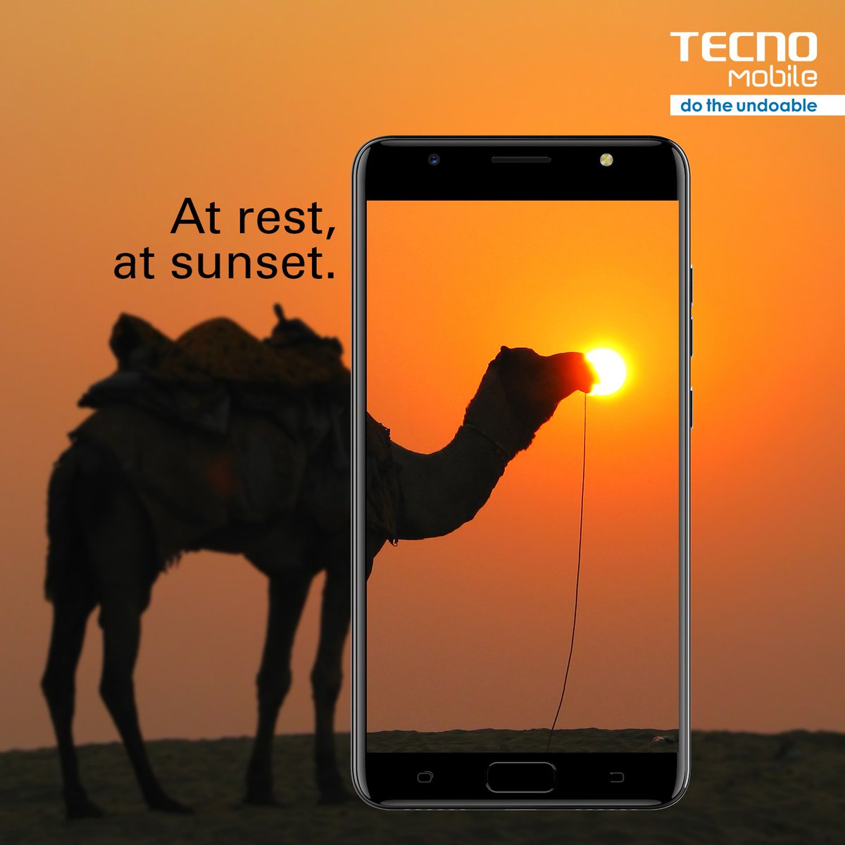 TecnoMobileInd's tweet image. The deserted jungle of Rajasthan or colours hailed sky of Gujarat.  What is your your favourite night moment?
#WorldPhotographyDay #TECNO