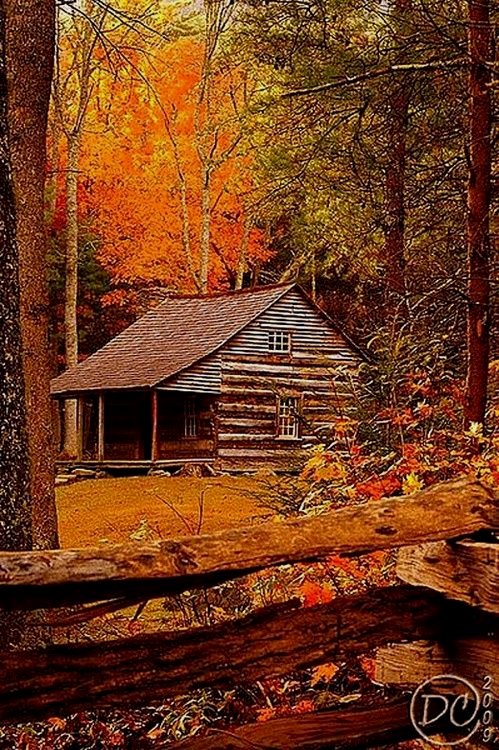 offthegridcabin's tweet photo. Love those colors! In Tennessee. https://t.co/E7x7G28fIH