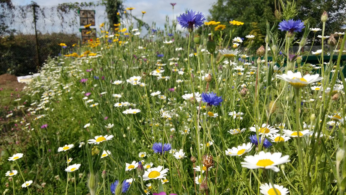 Andrew Whitehouse 〓〓 tweet media