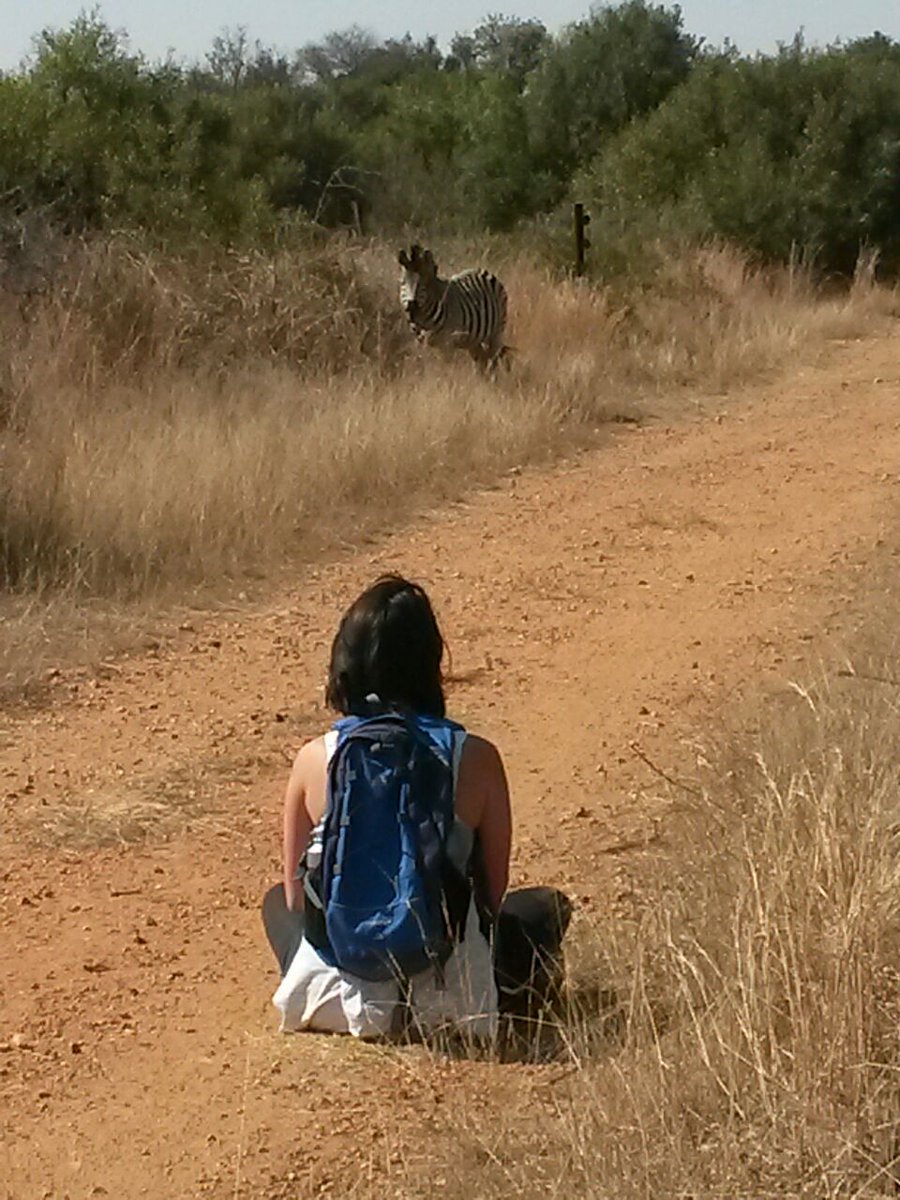 whatsaroutine's tweet image. (I went hiking and saw a very sweet zebbie)