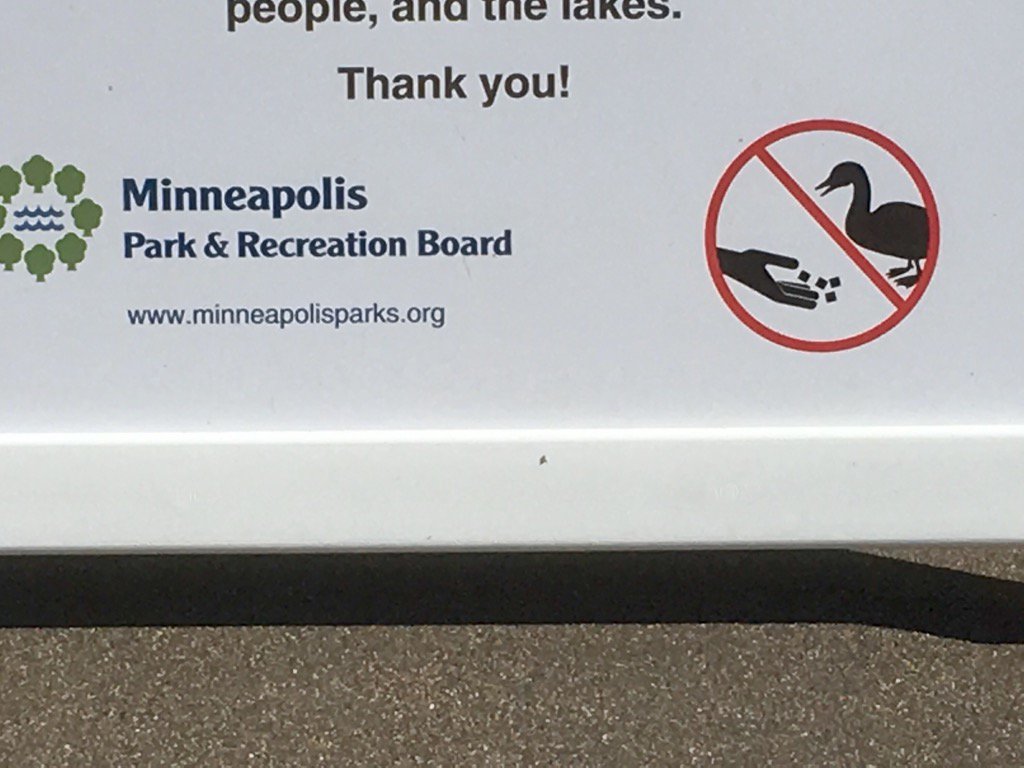 keithpille's tweet image. The Minneapolis park board damn well does not want you to shoot dice with ducks on park property