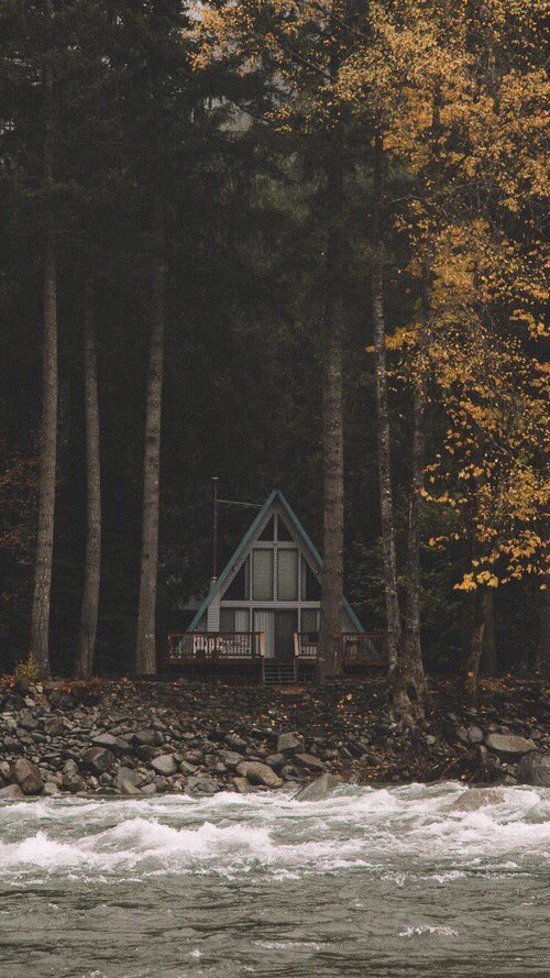 Rosalit'a🌛🖤" tweet media