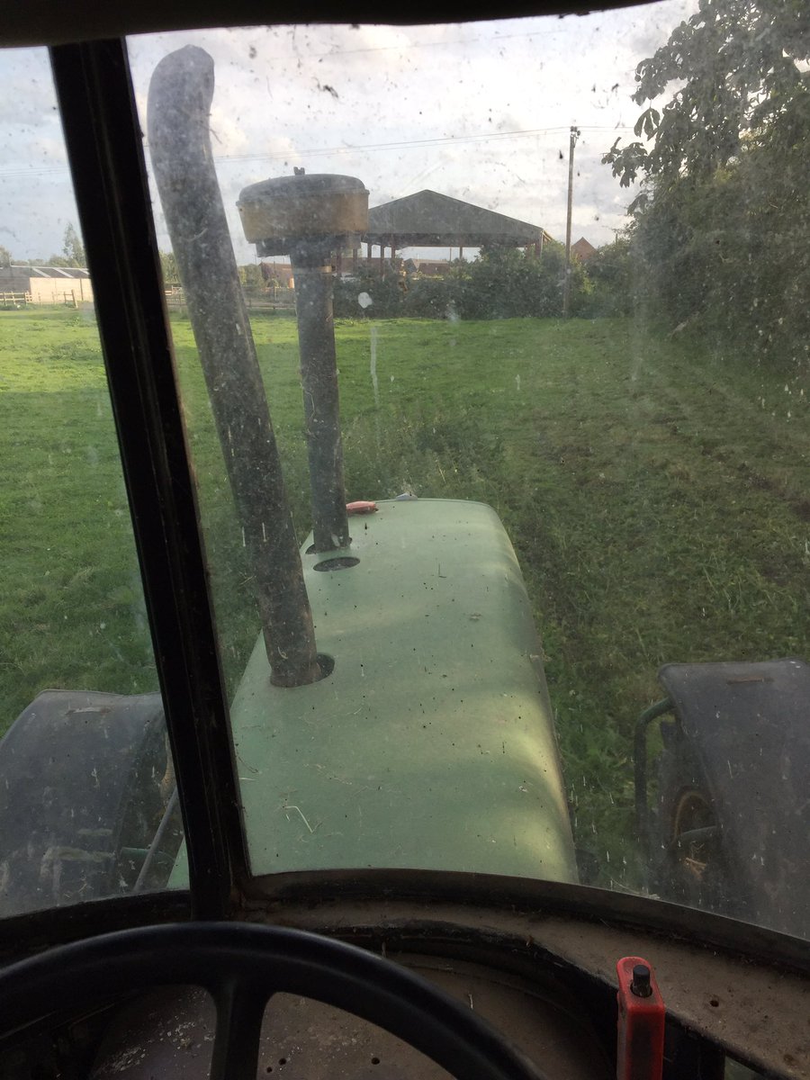 Death to all nettles!