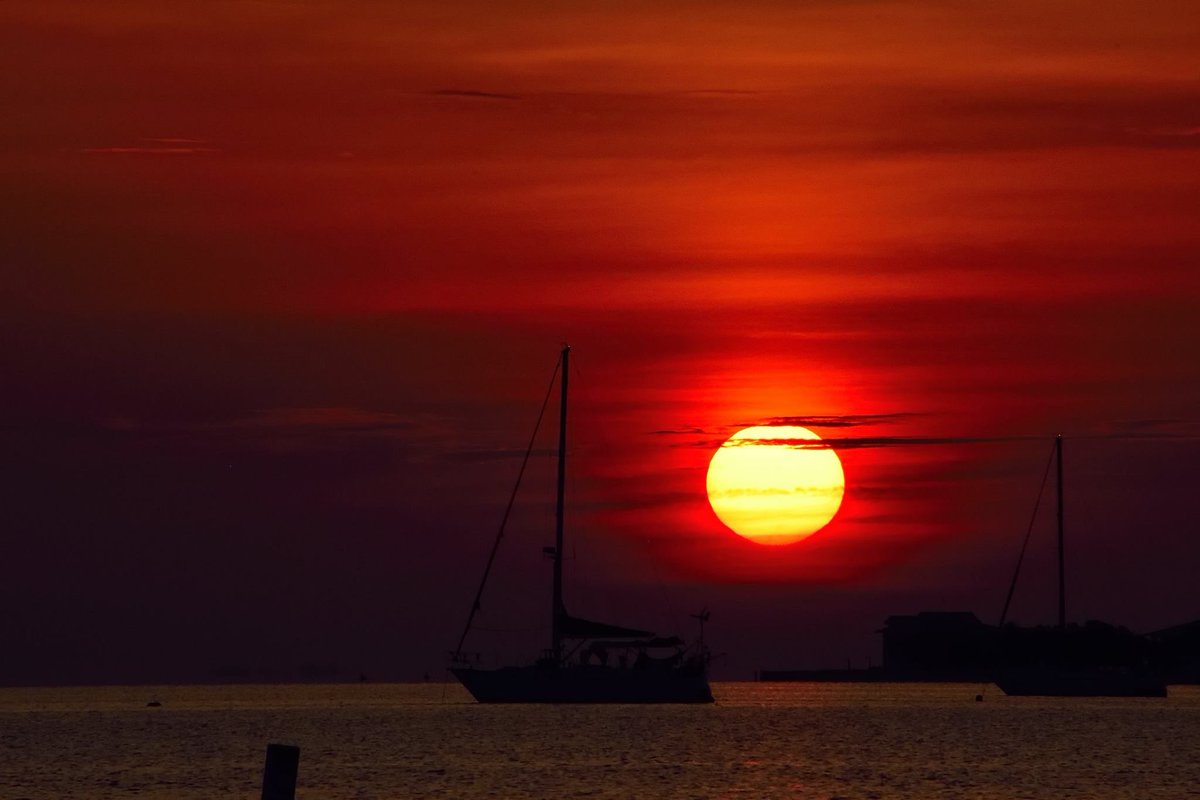 streetSinger9's tweet photo. Good morning friends and acquaintances… https://t.co/YtNkHTeZyw