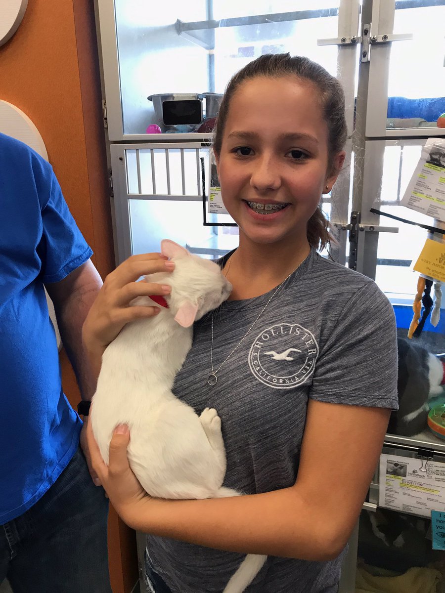 Telemundo Houston tweet media