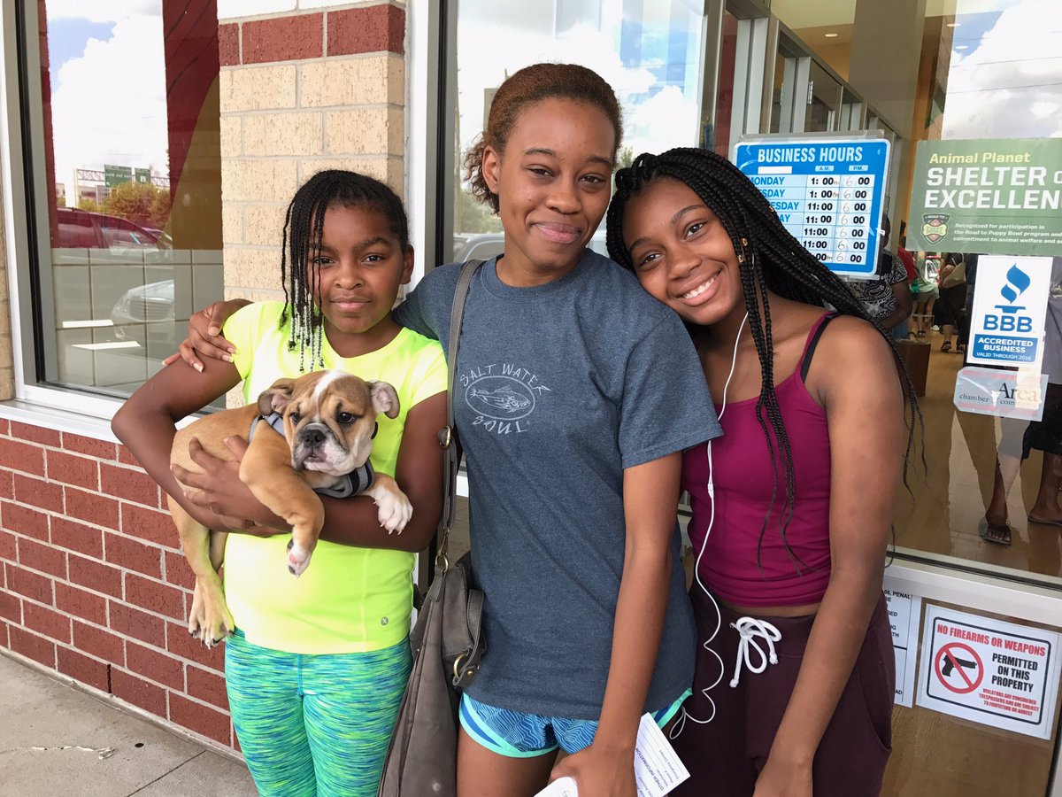 Telemundo Houston tweet media