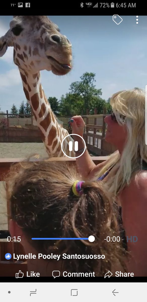 finfan3232's tweet photo. Met my favorite giraffe April https://t.co/siJrlRPETU
