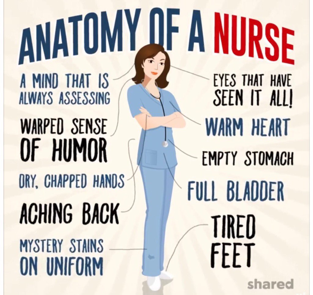FunnyNurse's tweet photo. Anatomy of a #Nurse https://t.co/rz8KcxJe42
