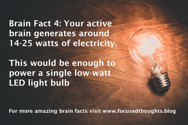 FocusedThoughts tweet picture