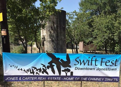 SwiftFest's tweet image. Many thanks to the Jones &amp;amp; Carter family for hosting the Swifts each year and their continued protection of the cistern!
SwiftFest is Today!