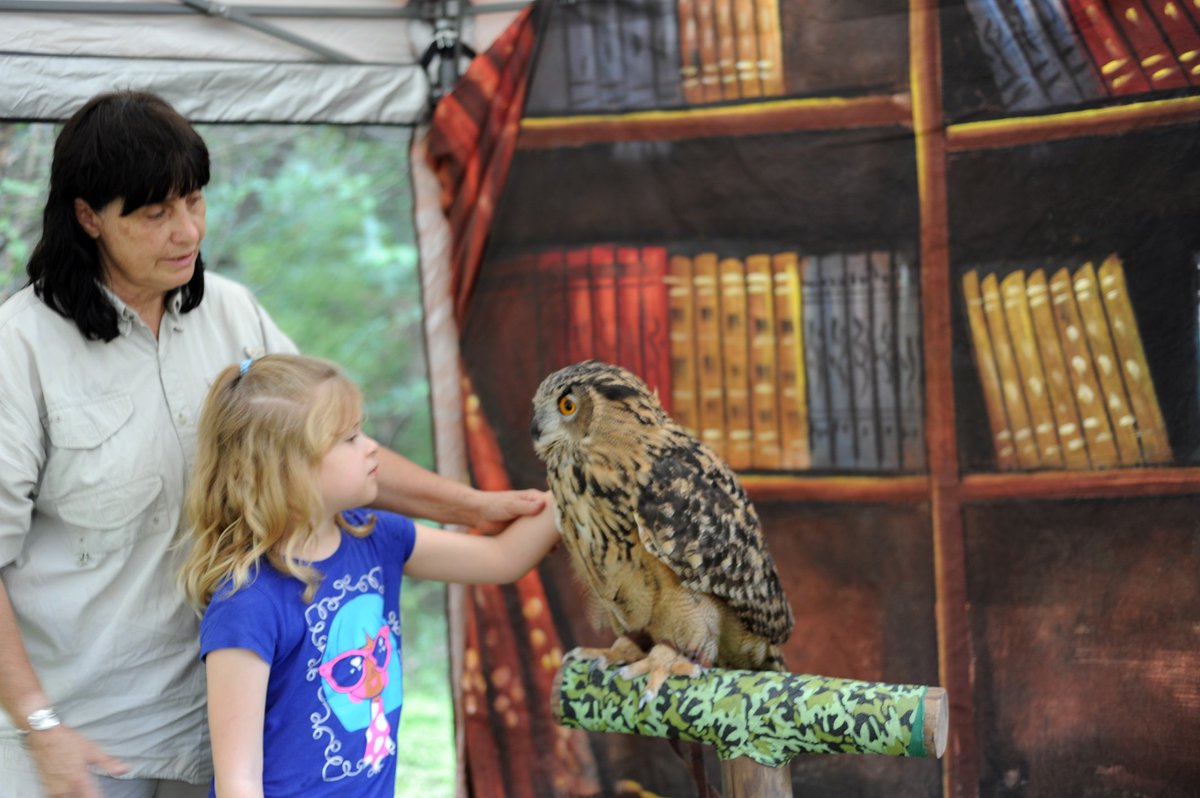 SwiftFest's tweet image. Remember to stop by to say hello to Phoenix, the Eurasian Eagle Owl,  at SwiftFest this afternoon! Stick around for Live Music til 10:00.