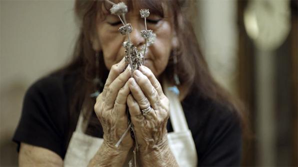 TheAutry's tweet photo. Tongva cultural educator Barbara Drake shares insights on the Native plants in our #CAcontinued garden tmrw: https://t.co/IeXXNRucQY @KCET https://t.co/OfKOBW9Hte