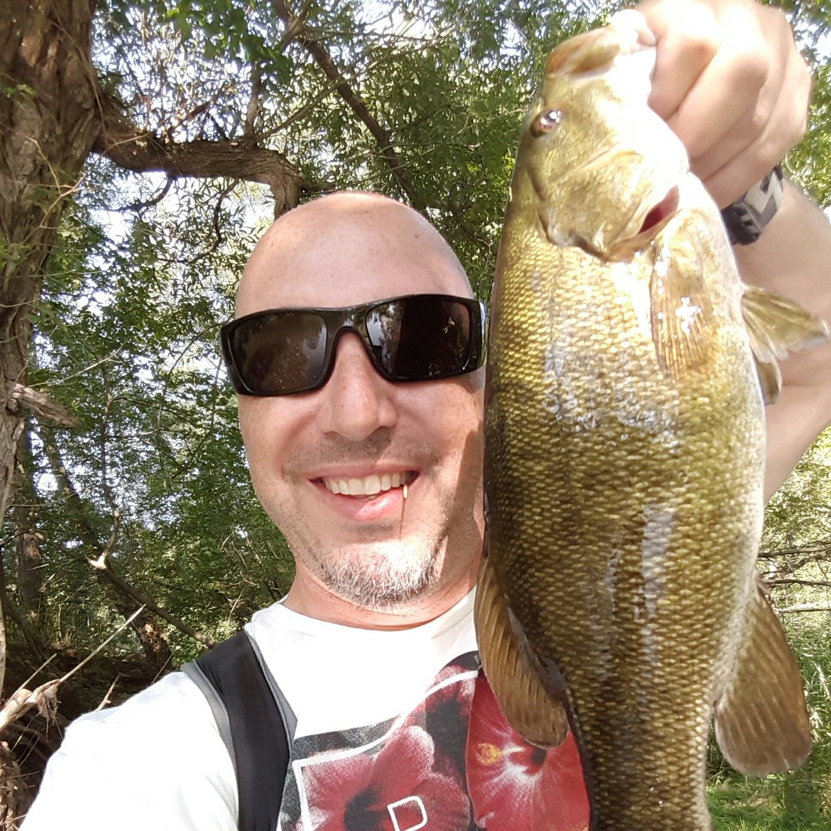 Macfishingtv's tweet photo. #NewProfilePic https://t.co/sxZYoO4RLr