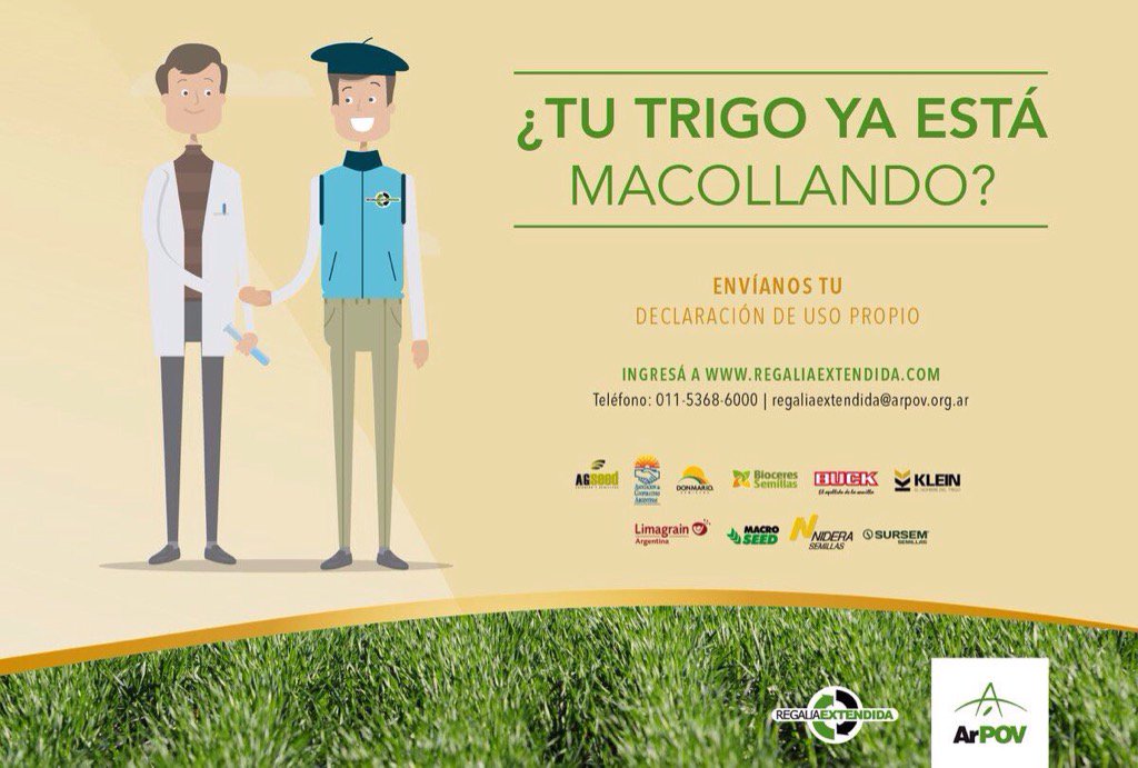 Tu #Trigo ya está macollando? No dudes en realizar la declaración de uso propio y contribuí con la #genética #campo