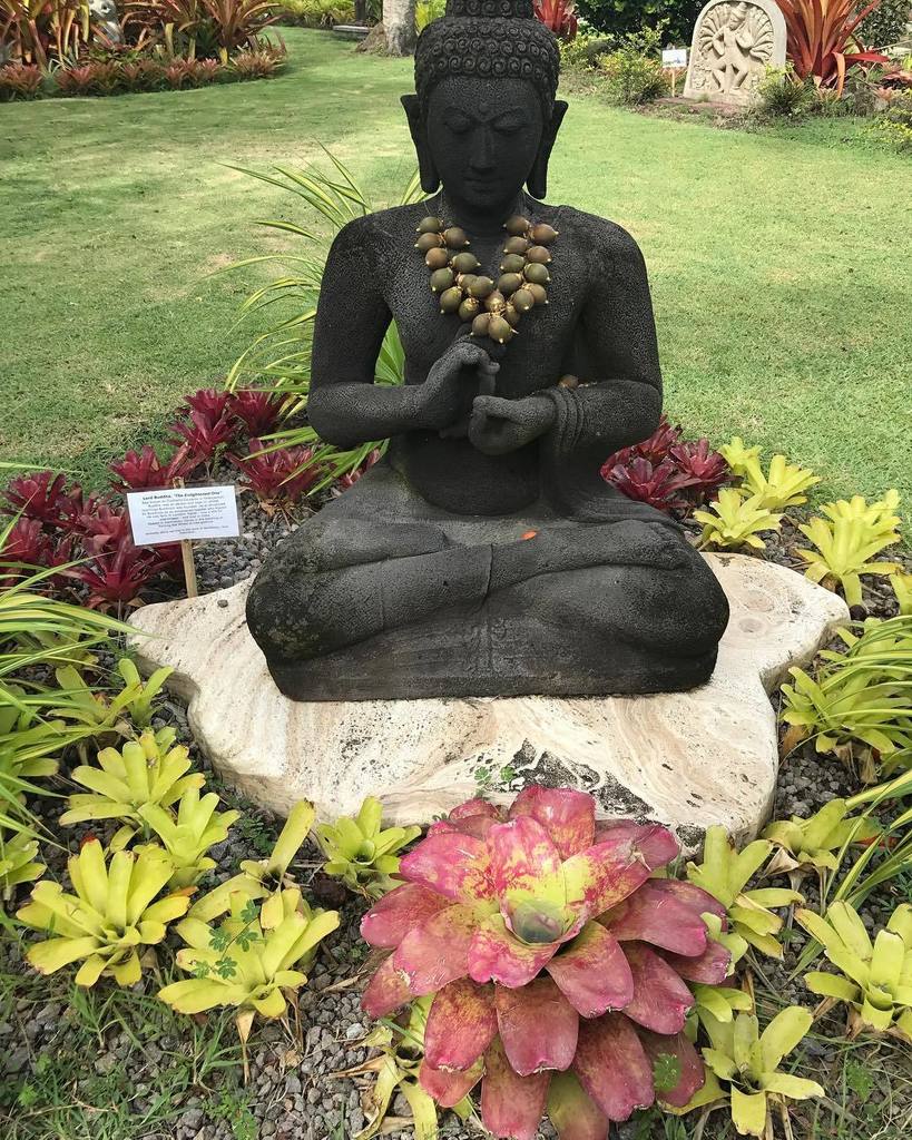 AditiJuneja3's tweet image. #Buddha #enlightenedone ift.tt/2vNHzpf