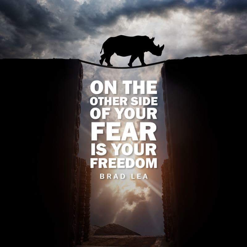 TheRealBradLea's tweet photo. The BIGGEST mistake you can make in life is not taking a chance. https://t.co/ixSs2Iybgg