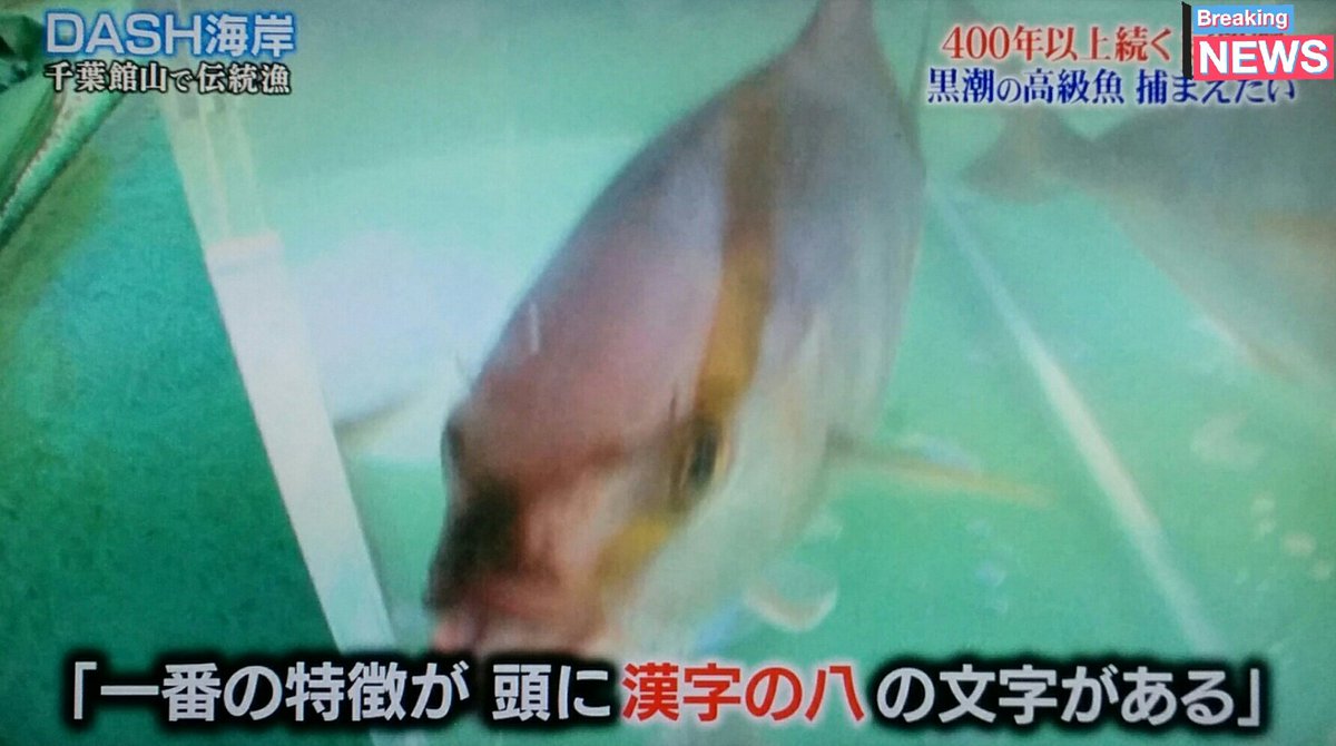 なまけもの 筋トレ25日目 A Twitter 美味しいよねぇ カンパチ W Tokio 鉄腕dash