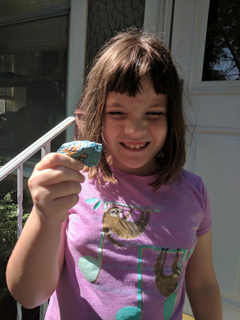 There's treasure everywhere. #kindnessrocksstj
