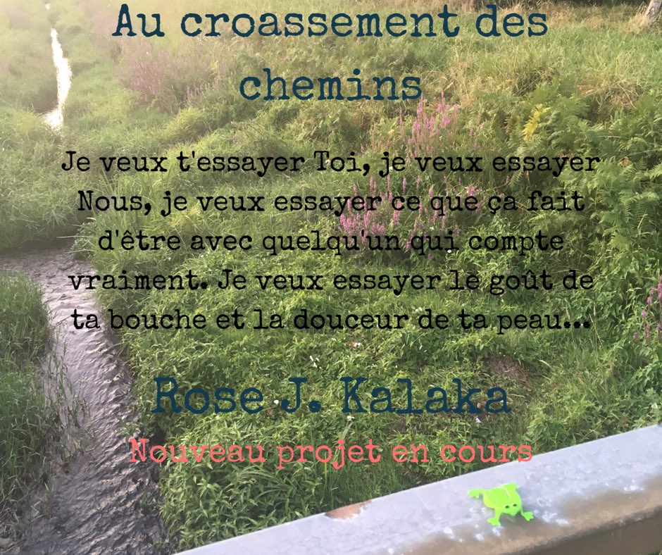 RoseKalaka's tweet photo. Nouveau projet, indice, #aucroassementdeschemins #romanceya #nouveauprojet #happyme #auteurenherbe https://t.co/vxJP6WN8tP