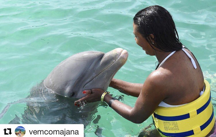DolphinIslandP's tweet photo. Swimming with dolphins? #dolphinislandpark is the right place to do that! Come join us in the incredible adventure #bavaro #puntacana #fun https://t.co/nfAiXvmCOq