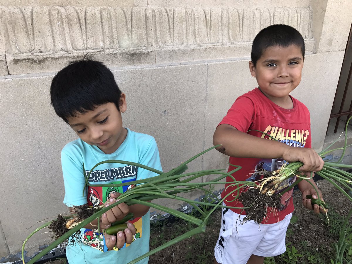 Two boys holding green onions.