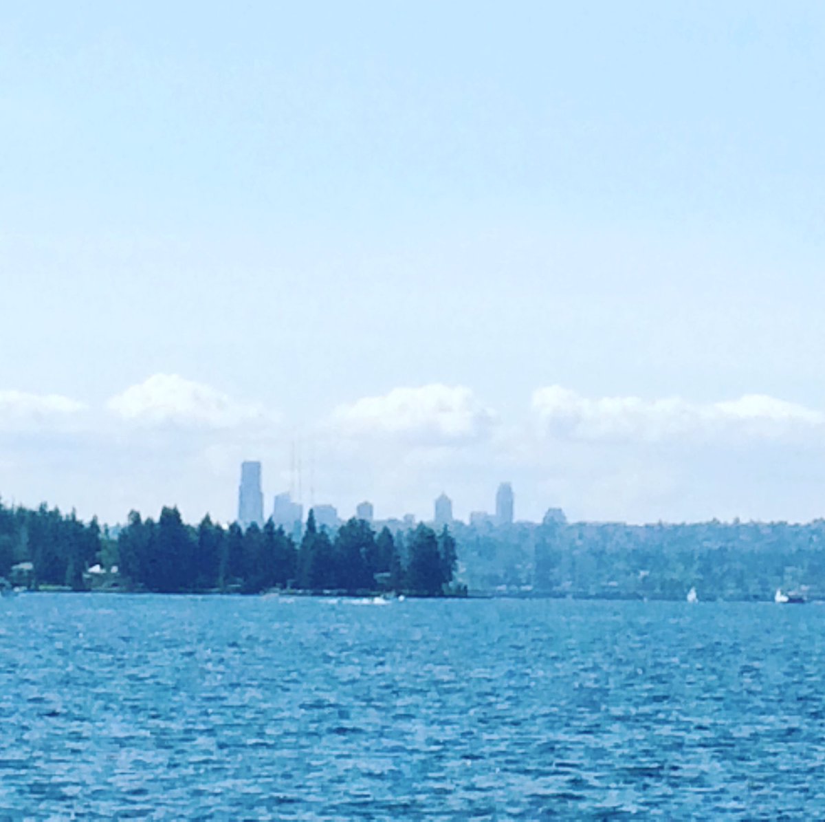 jpic98's tweet photo. View at our lunch today. #lifeofadventure #lovelife #determined #enjoyinglife https://t.co/TA7qlms3OL