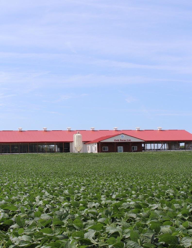 fullbins's tweet image. Open House Orth Farms Ltd Thursday Aug24 10:00-3:00 robotic dairy barn. 813687 Base Line.  @DeLavalCanada @NorwellDairy