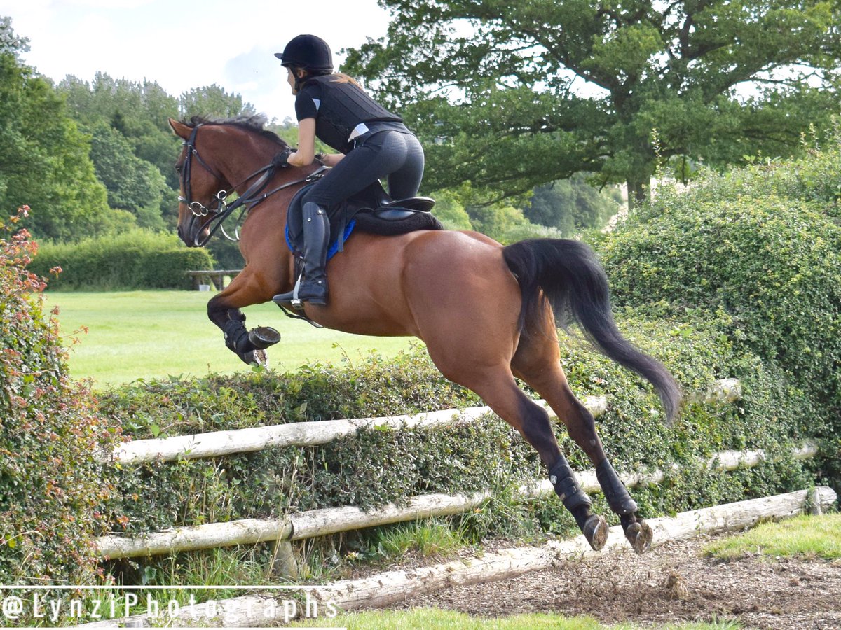LynziPhotograph's tweet photo. #Horses #crosscountry #equestrian #jumping @lynehamheath #crosscountrytraining #amateurphotography #photography #DSLR #DSLRphotography https://t.co/gtg40j4iQ3