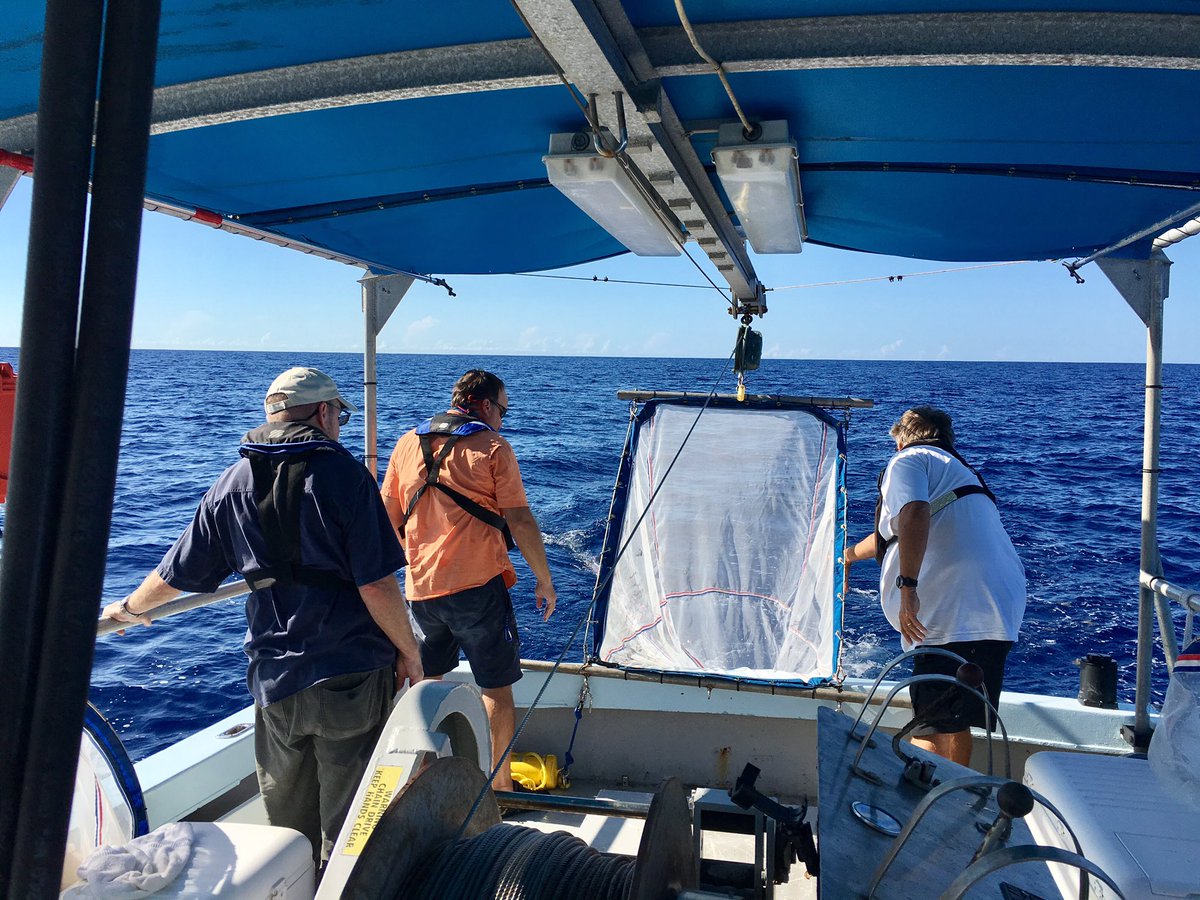 InvertebratesDC's tweet photo. A trawl is also used to collect zooplankton in the Gulf Stream #StreamCodeSMS #OsbornLabSI #plankton #biodiversity https://t.co/mb2BgcO0Sg
