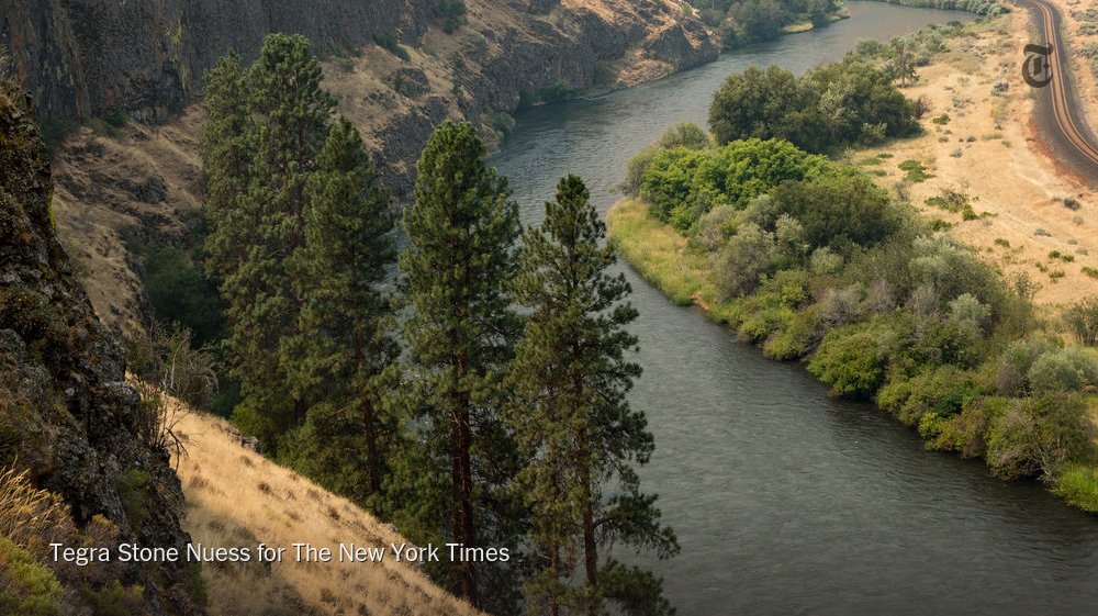 nytimestravel's tweet photo. Charcuterie, picnics and a world of wines in the Yakima Valley in Washington State. https://t.co/lc2rd4TQQO https://t.co/q8wxQ6INSc